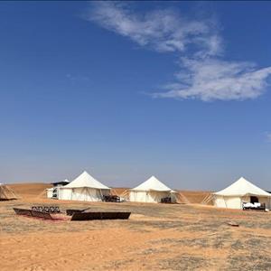 Arabian Oryx Wahiba Sands